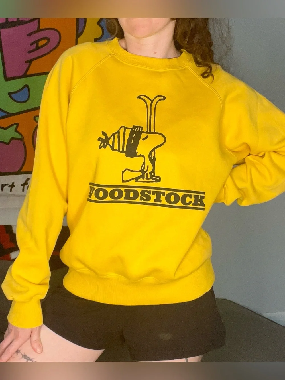 Peanuts Woodstock Yellow Ski Graphic Crewneck Pullover Sweatshirt Size Small